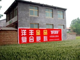 潼关如何让墙体广告展现最大化效果