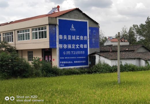 潼关决定墙体广告价格的因素有哪些？